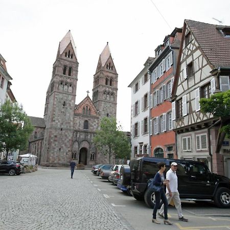 Gite Le Caveau Selestat - 30Min Europapark Exterior photo