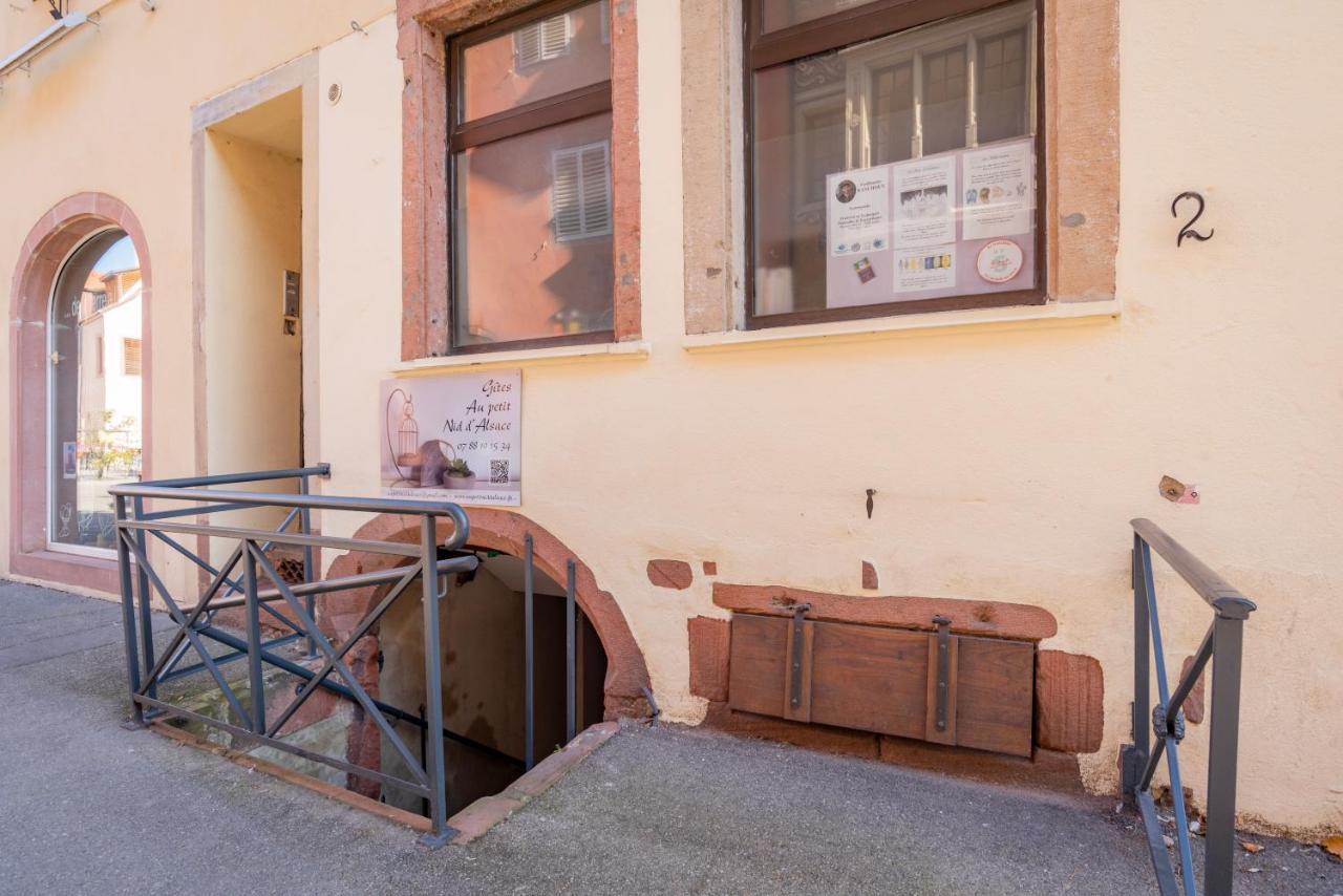 Gite Le Caveau Selestat - 30Min Europapark Exterior photo